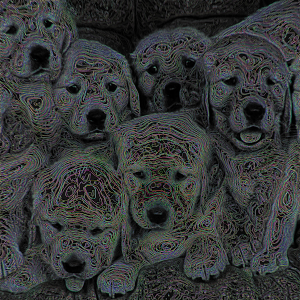 terences-art-sale: 51