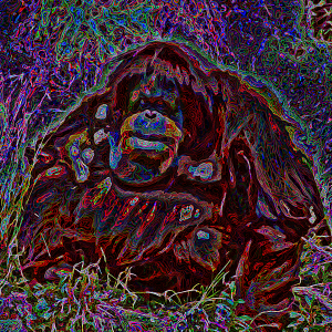 terences-art-sale: 43